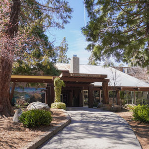 Wayne Murphy Dining Room